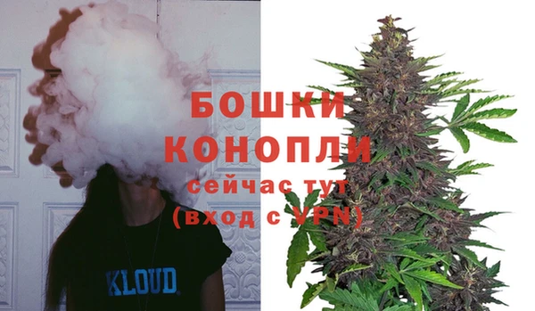 меф Белокуриха