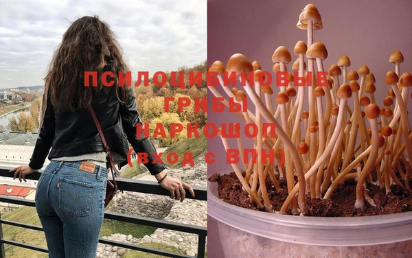 меф Белокуриха